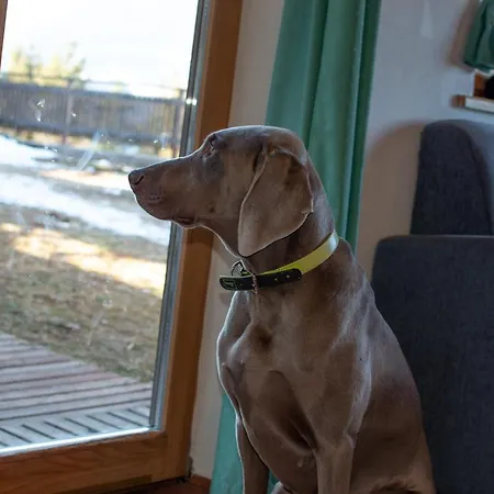 House On The Of The Hill Mozirje