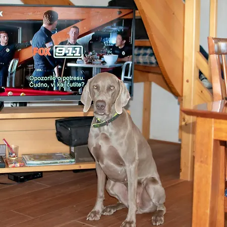 House On The Of The Hill Mozirje