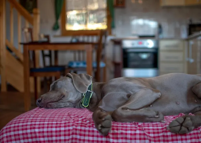 House On The Of The Hill Dom wakacyjny *