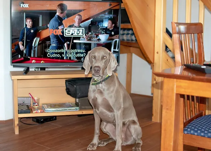 House On The Of The Hill Mozirje